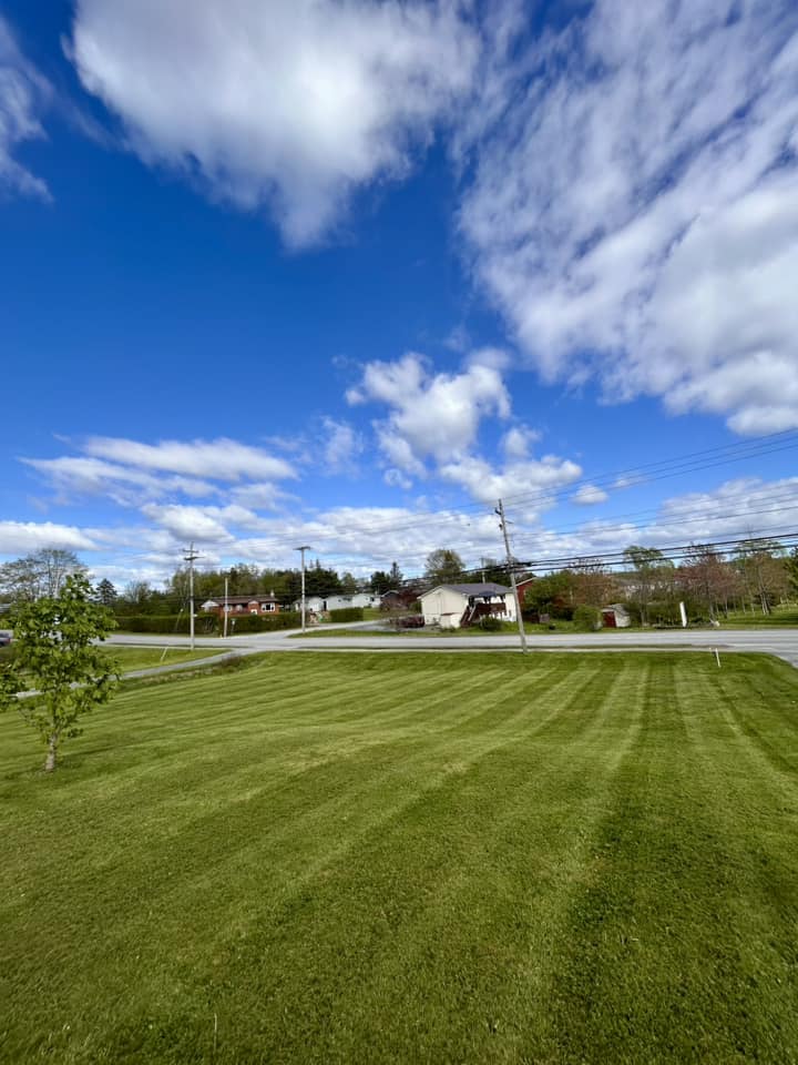 Lawn Care & Maintenance